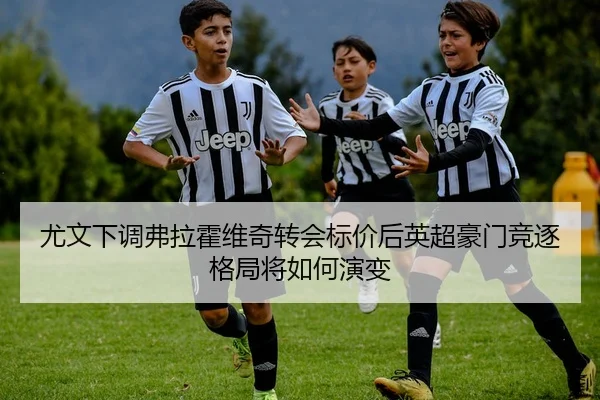 尤文下调弗拉霍维奇转会标价后英超豪门竞逐格局将如何演变